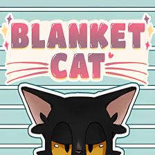 Blanket Cat