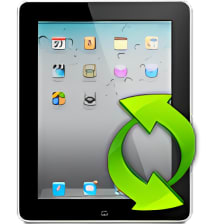 4Media iPad Max Platinum for Mac