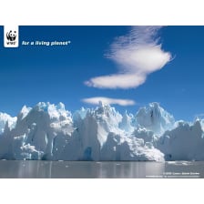WWF-Bildschirmschoner