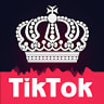 Boost Fans For TikTok Musically Likes  Followers