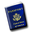 Passport Photo