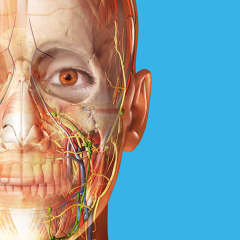 Human Anatomy Atlas 2021: Complete 3D Human Body