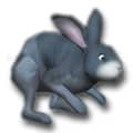 Logo Project 3D Desktop Bunny Rabbits Screen Saver for Mac