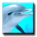 Digifish Dolphin