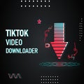  Video Downloader (TikTok)