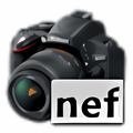 adobe batch convert nef to jpg