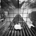 Apple Store NYC Wallpaper