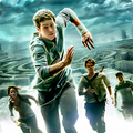 Maze Runner: Correr ou Morrer