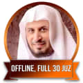 Saad AL GHAMIDI Quran Mp3 Full Offline 30 Juz