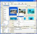 Logo Project Arles Image Web Page Creator for Windows