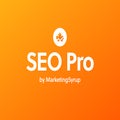 SEO Pro Extension