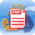 Solid Converter PDF
