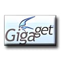 Logo Project GigaGet for Windows