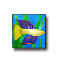 Primary games fish tycoon