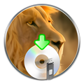 Lion Disk Maker