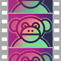 Video Monkey