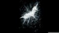 Logo Project Batman The Dark Knight Rises Theme for Windows