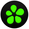 Logo Project ICQ for Windows