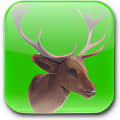 trophy hunter game free download