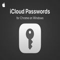 iCloud Passwords
