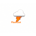 Logo Project FlashGot for Windows