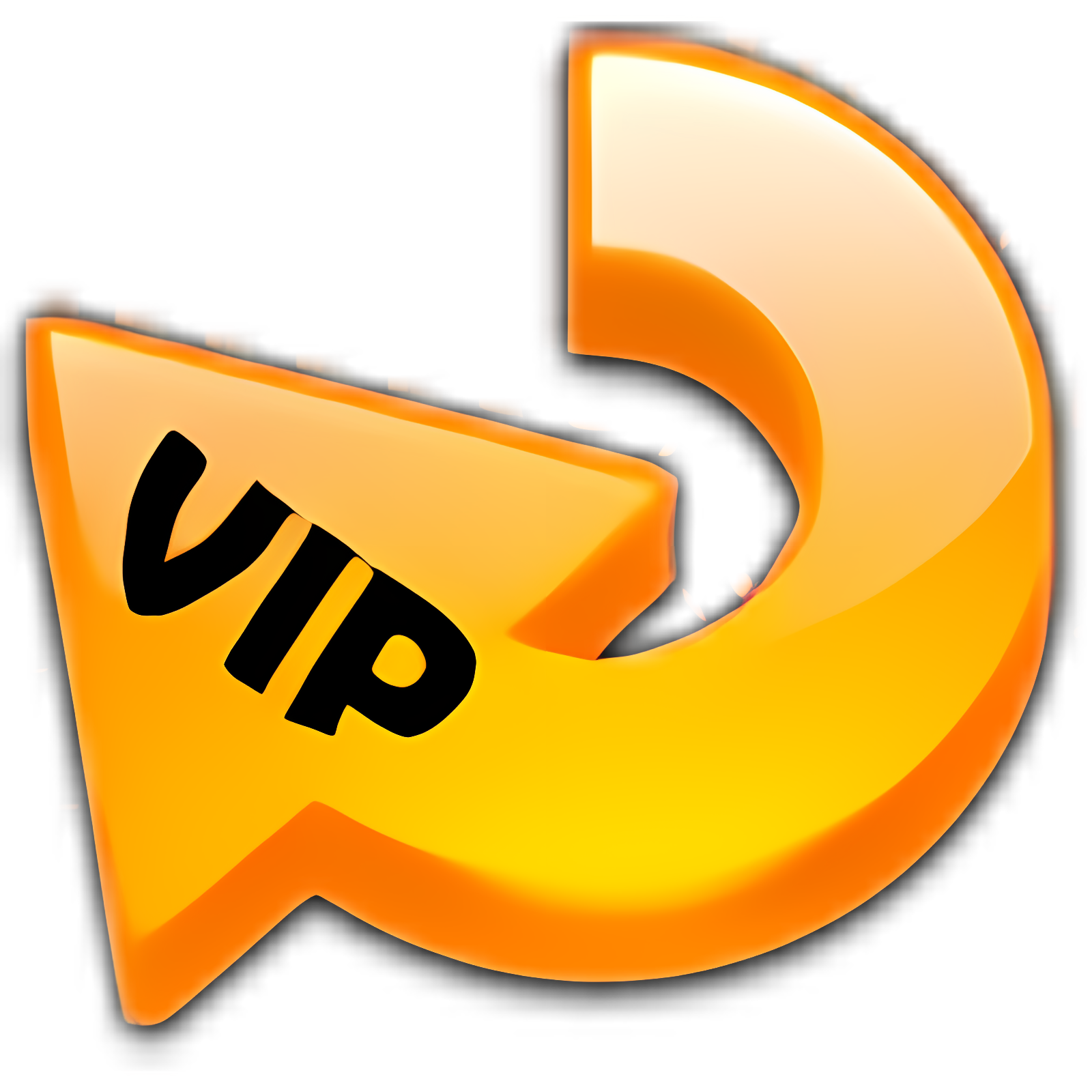 VIP Video Converter