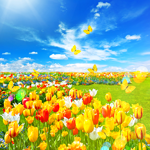 Best Live Wallpapers