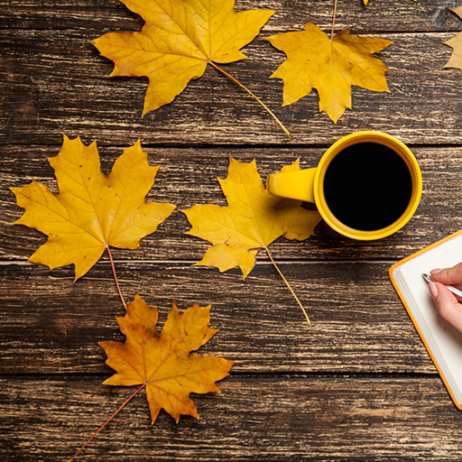 Autumn Leaves Live Wallpapers