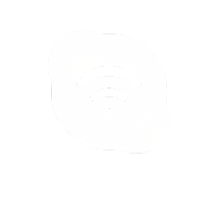 Skype WiFi