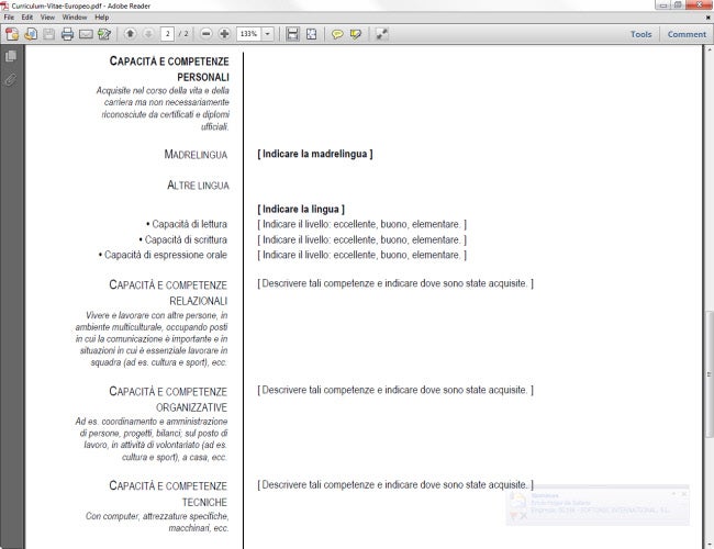 Formato De Curriculum Word