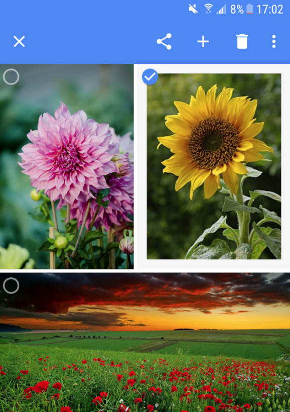 TÉLÉCHARGER VISIONNEUSE DIMAGE PICASA GRATUITEMENT PICASA GRATUITEMENT VISIONNEUSE DIMAGE TÉLÉCHARGER