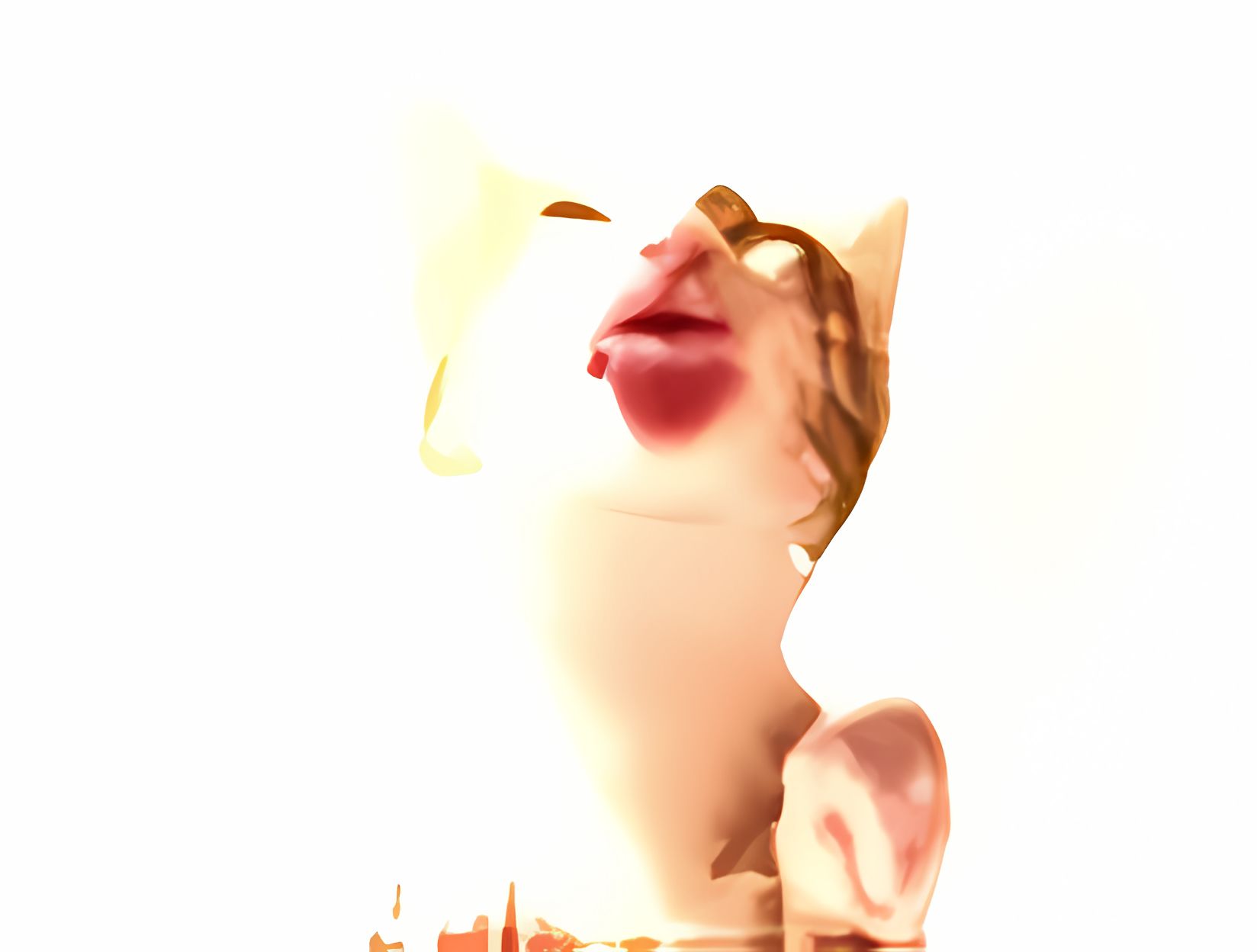Cat Licking Screensaver