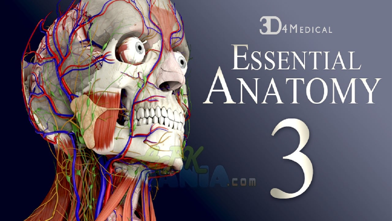 essential anatomy or complete anatomy