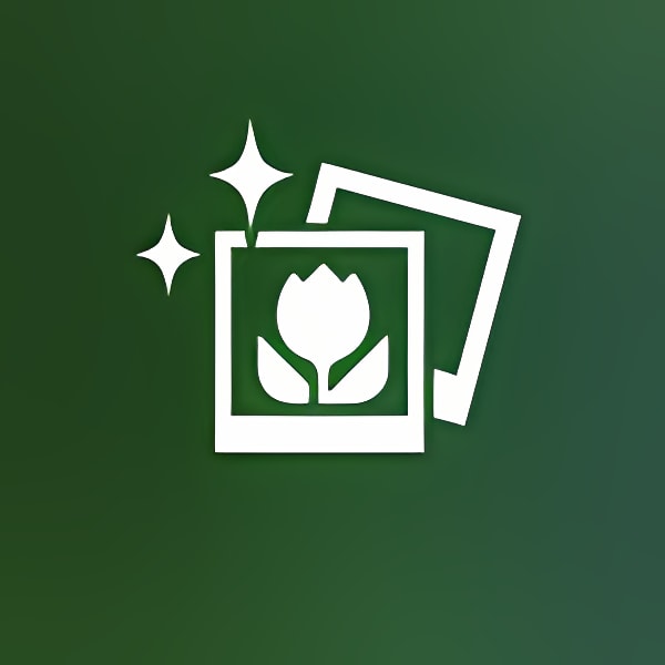 Herunterladen PhotoDirector Mobile Installieren Sie Neueste App Downloader