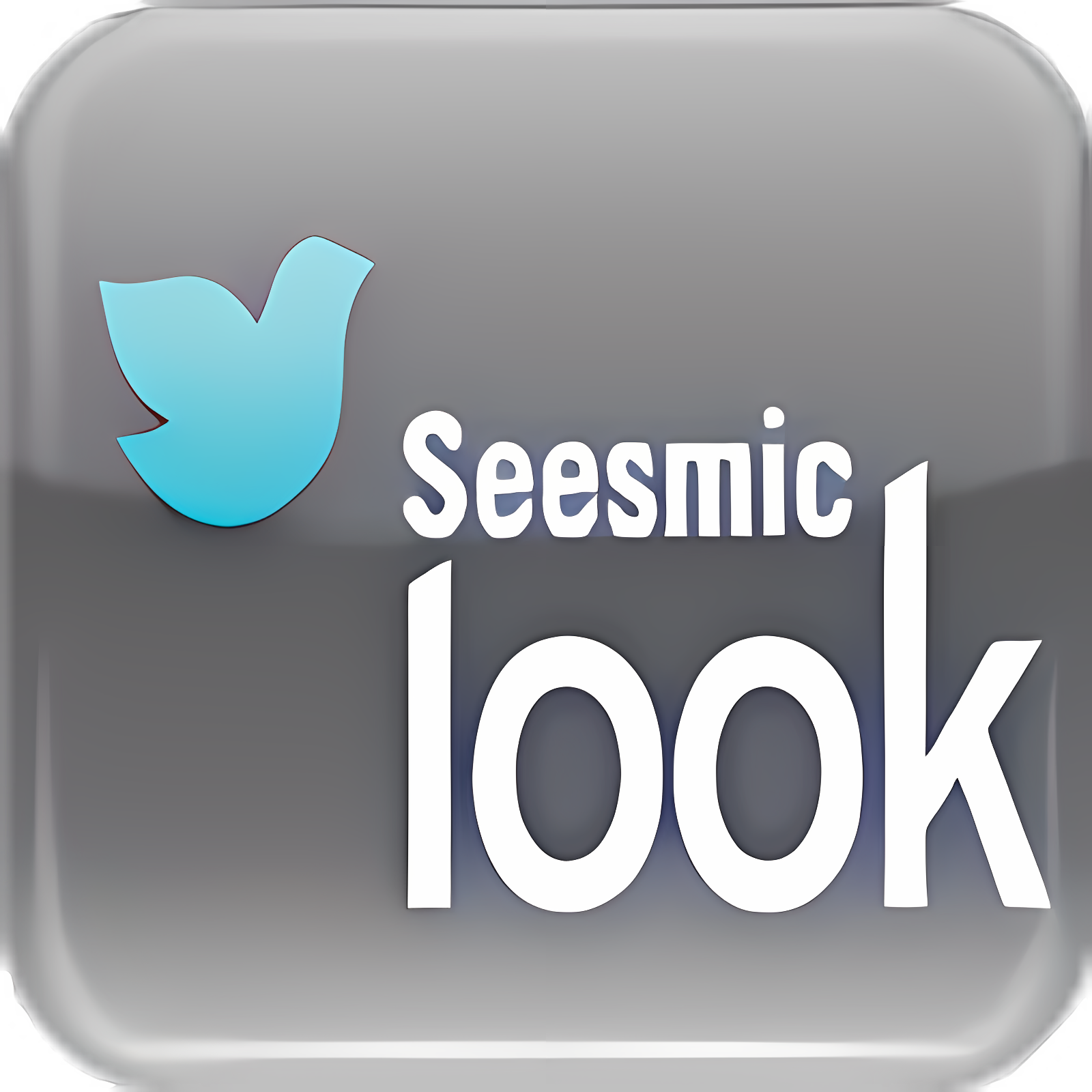Seesmic Look