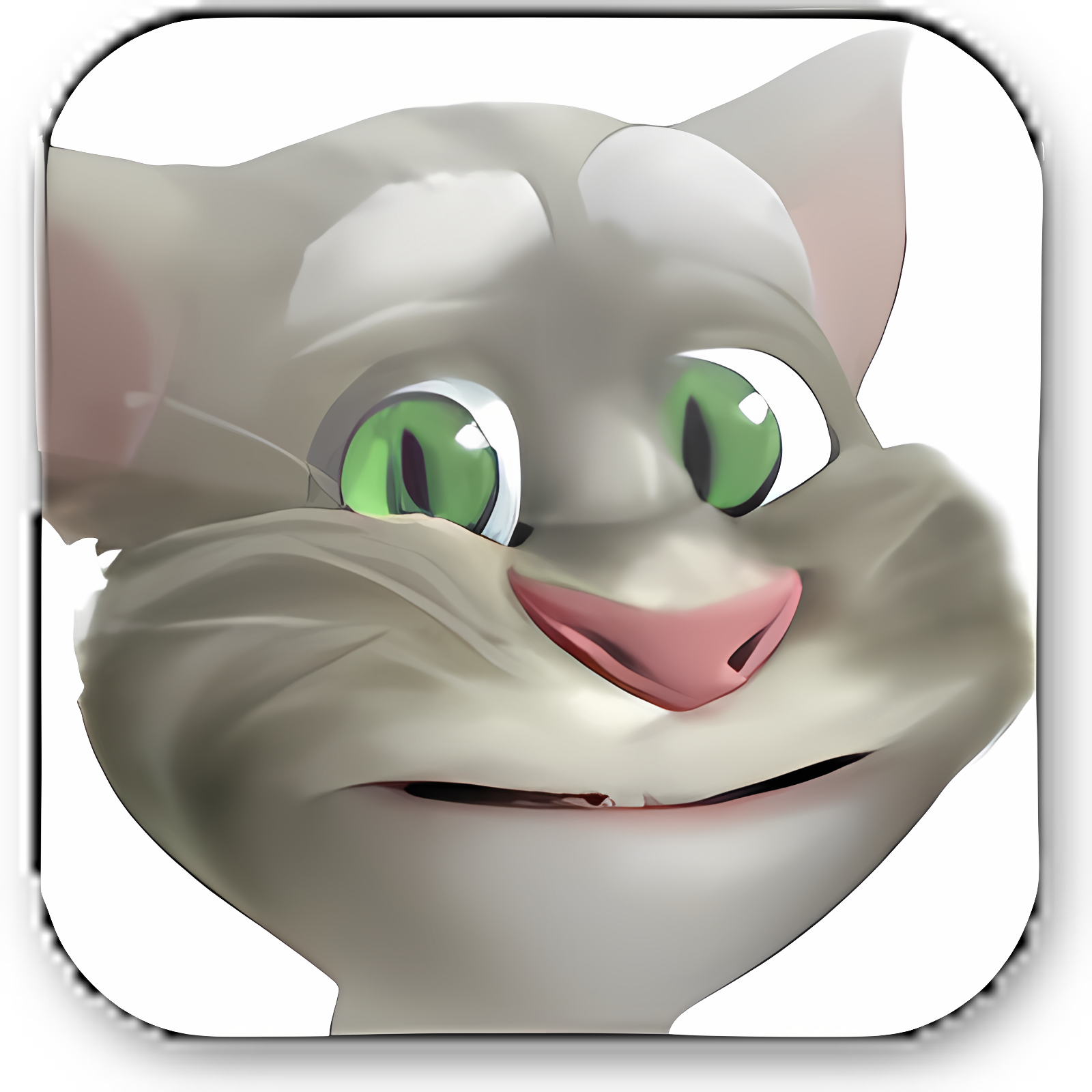 Talking Tom Cat 2