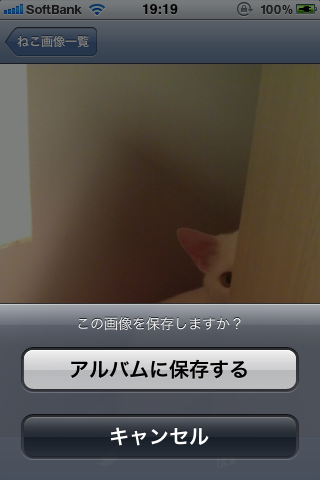 日刊ねこ新聞-猫情報まとめ