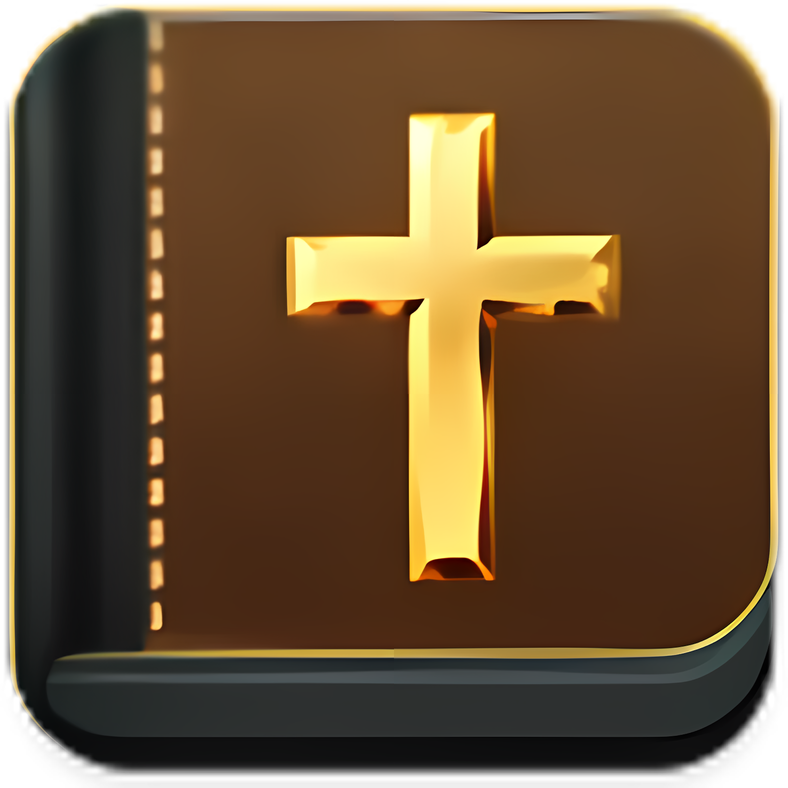 Bible - KJV,NIV and etc..