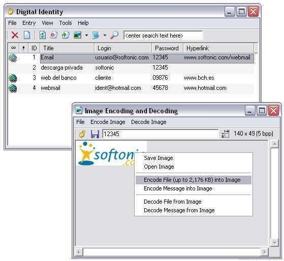 Digital Identity