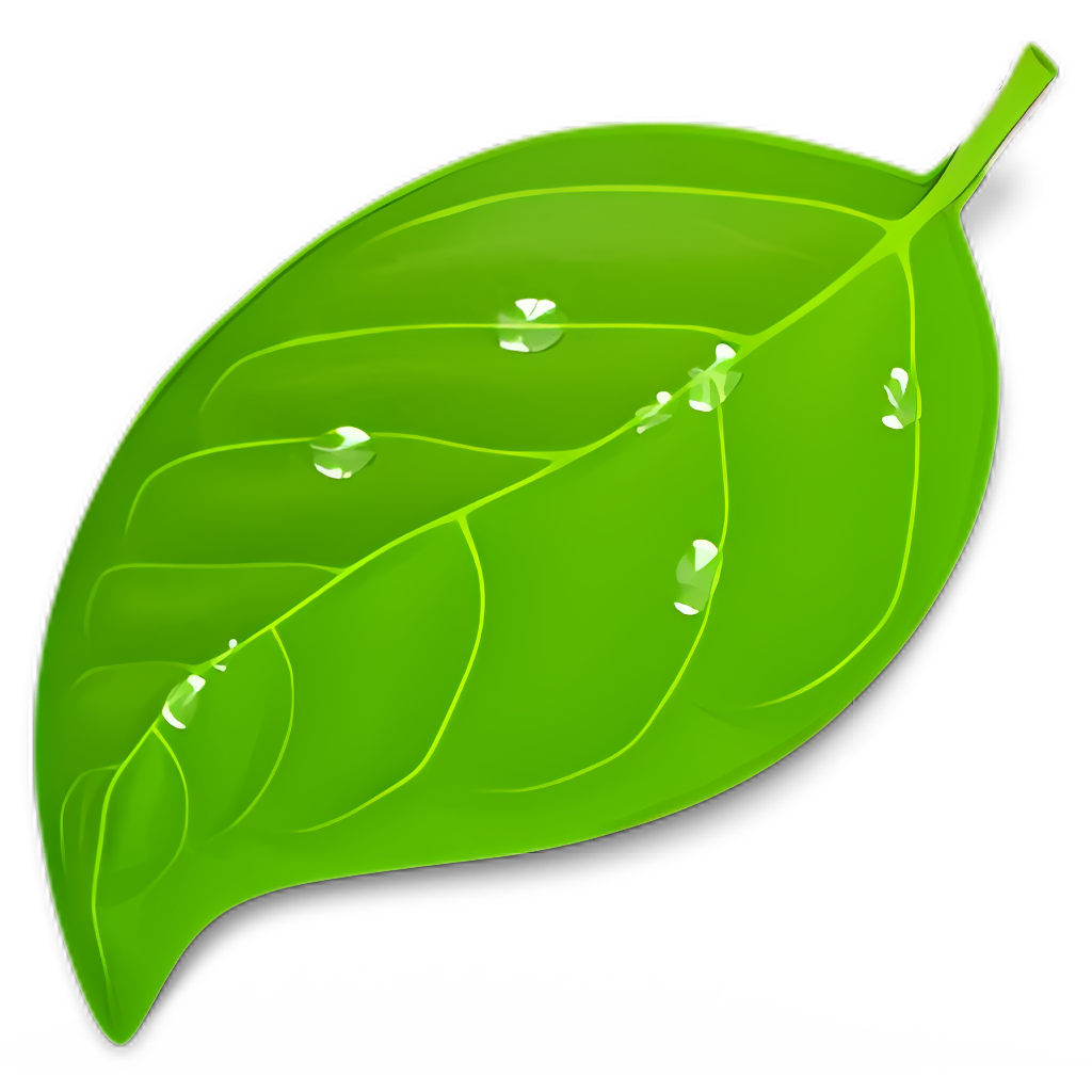 Coda
