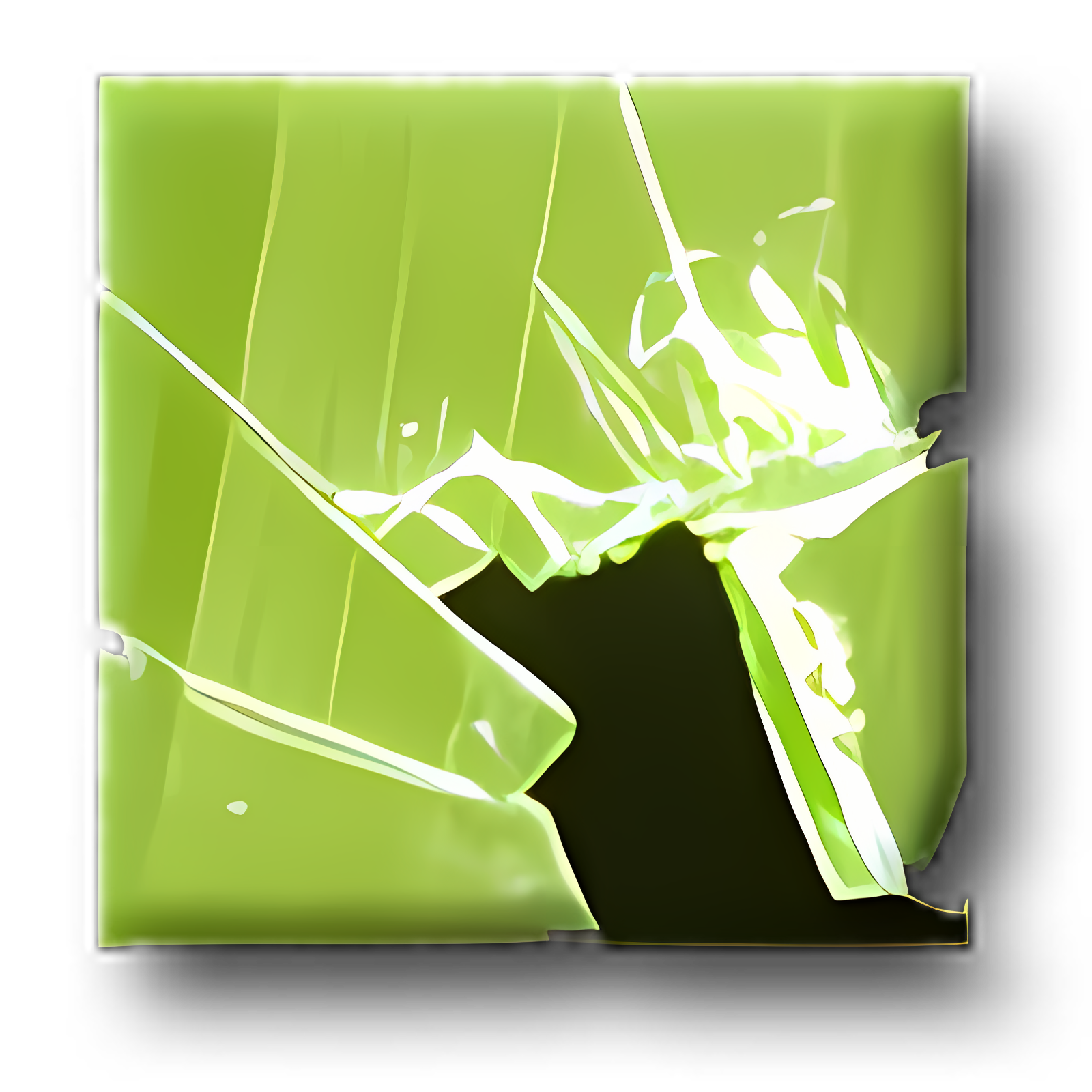 Broken Vista Banana Leaf Wallpaper