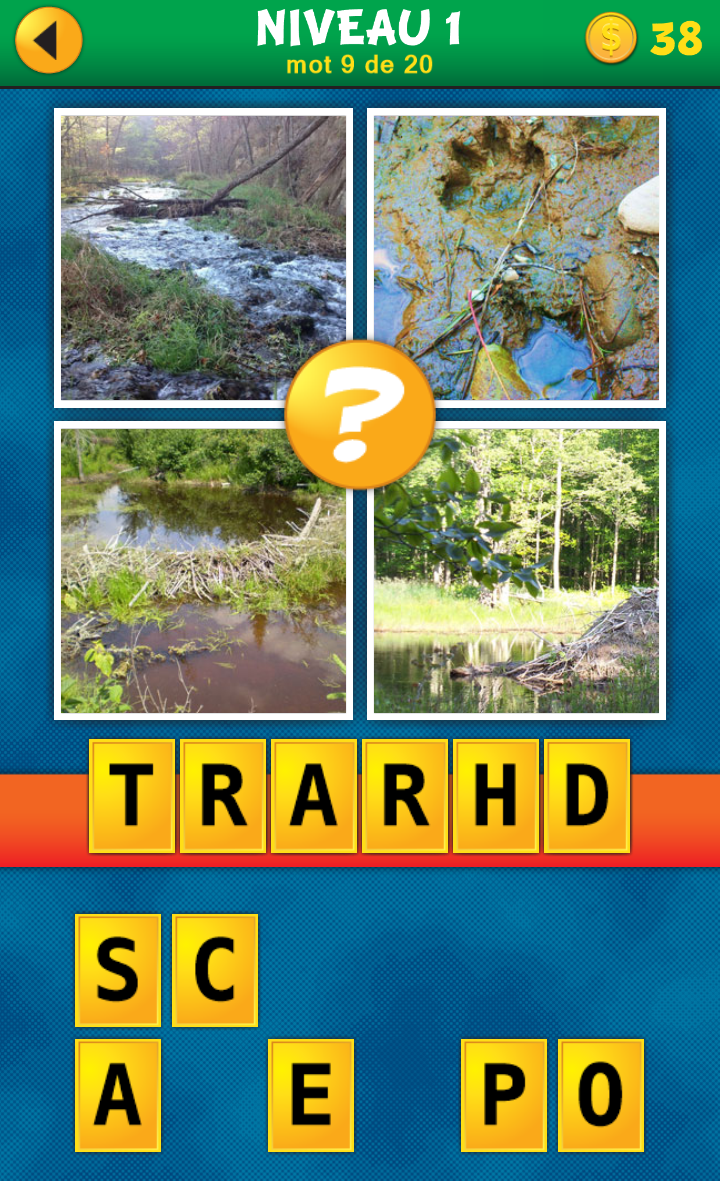 4 image 1 mots 5 lettres niveau