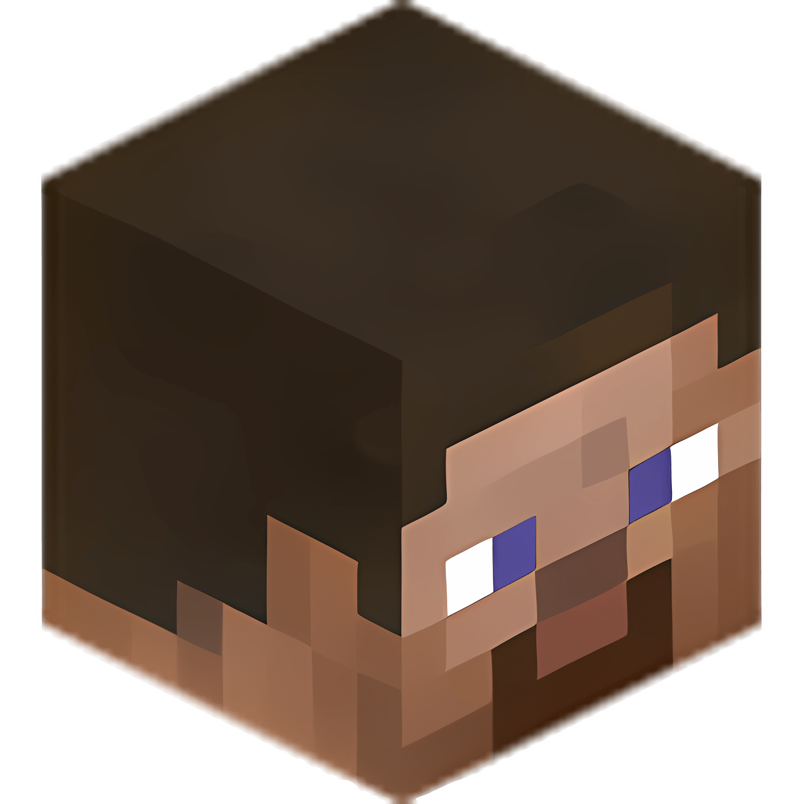 Minecraft skin head. Голова Стива майнкрафт. Лицо Стива. Головы с тивов из майнкравта. Голова Стива без фона.