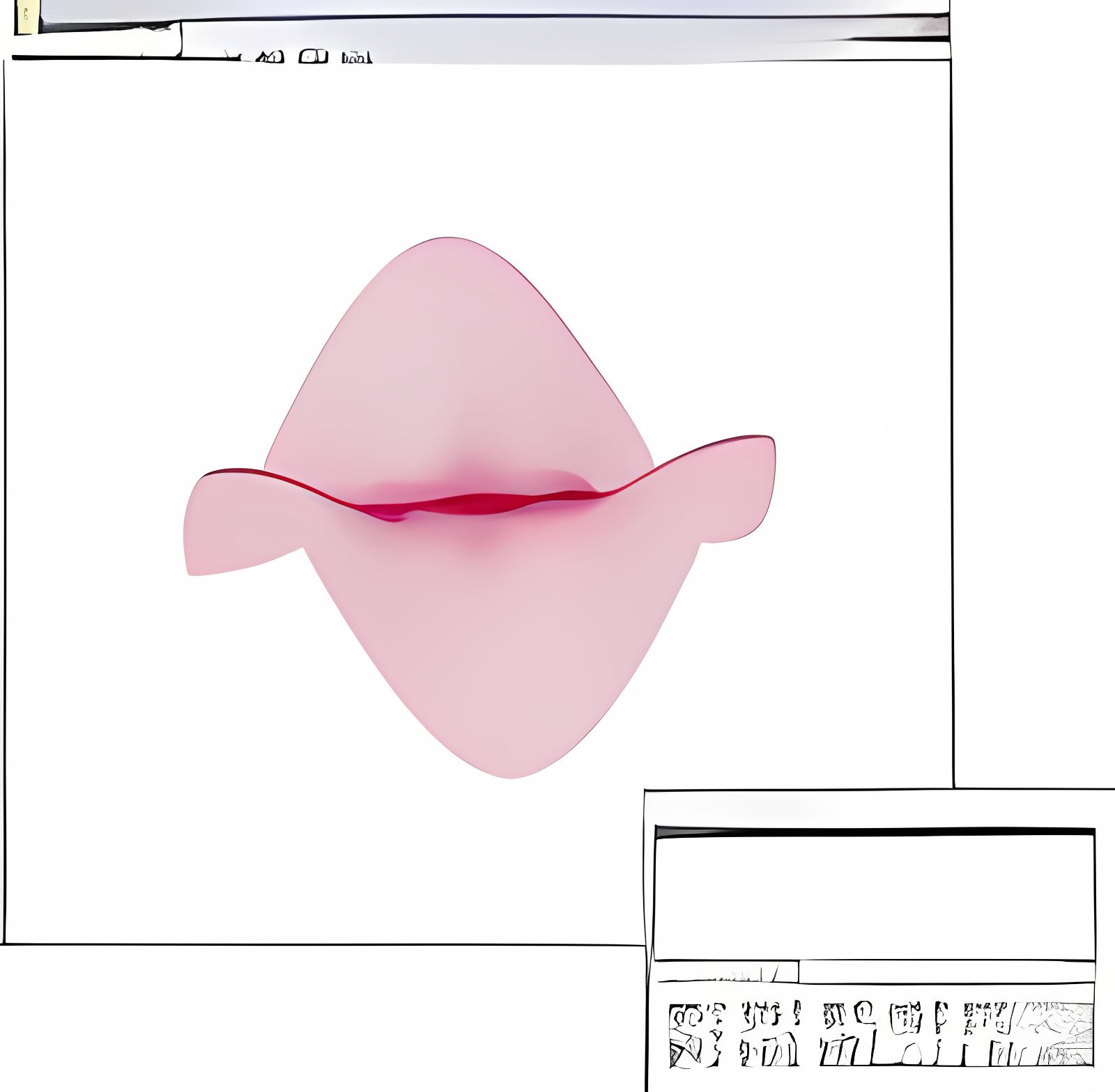 Winplot