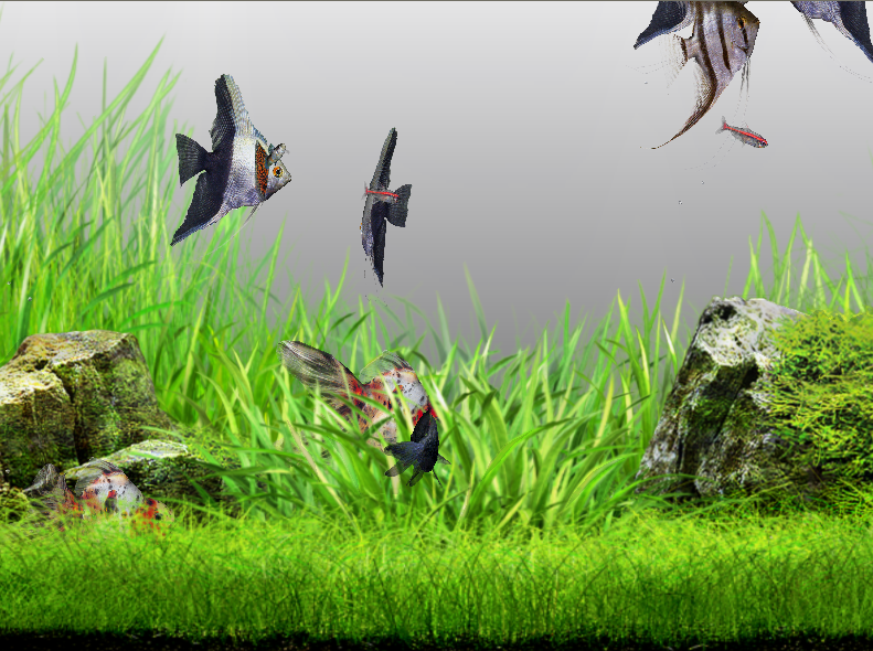 Aquazone Desktop Garden