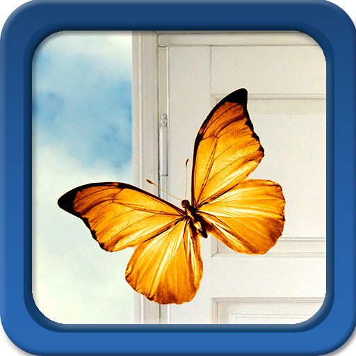 Butterflies Live Wallpapers