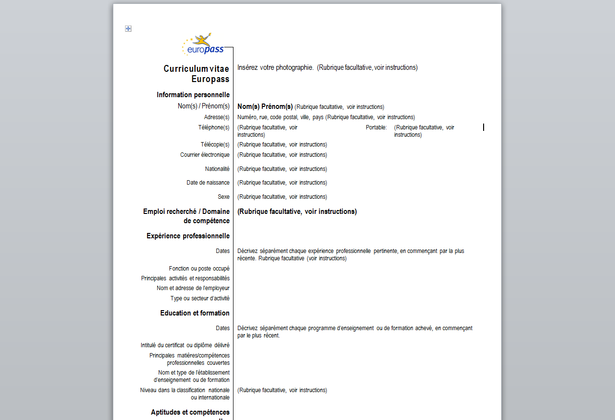 Formato De Curriculum Vitae Word