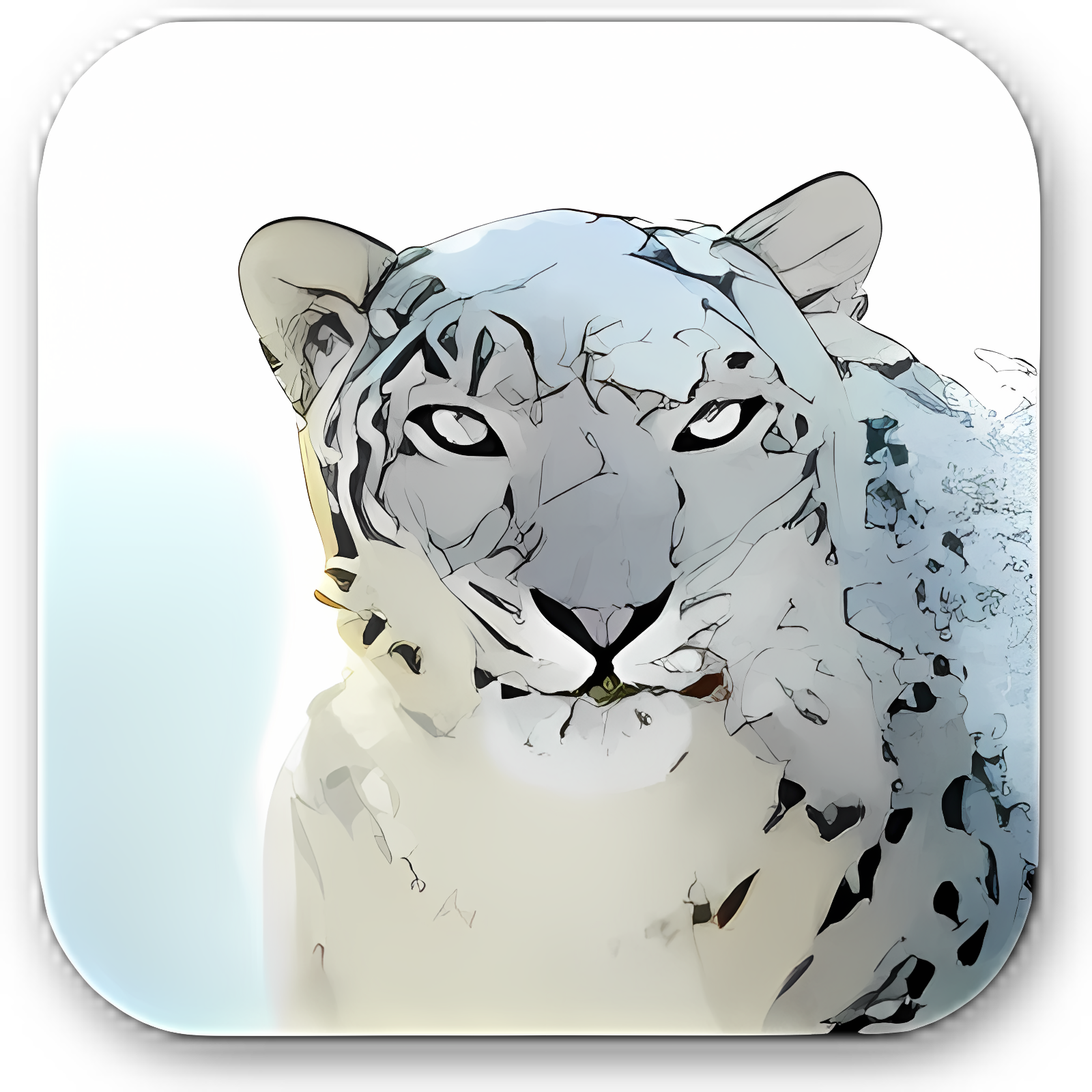 Snow Leopard Desktop Pictures