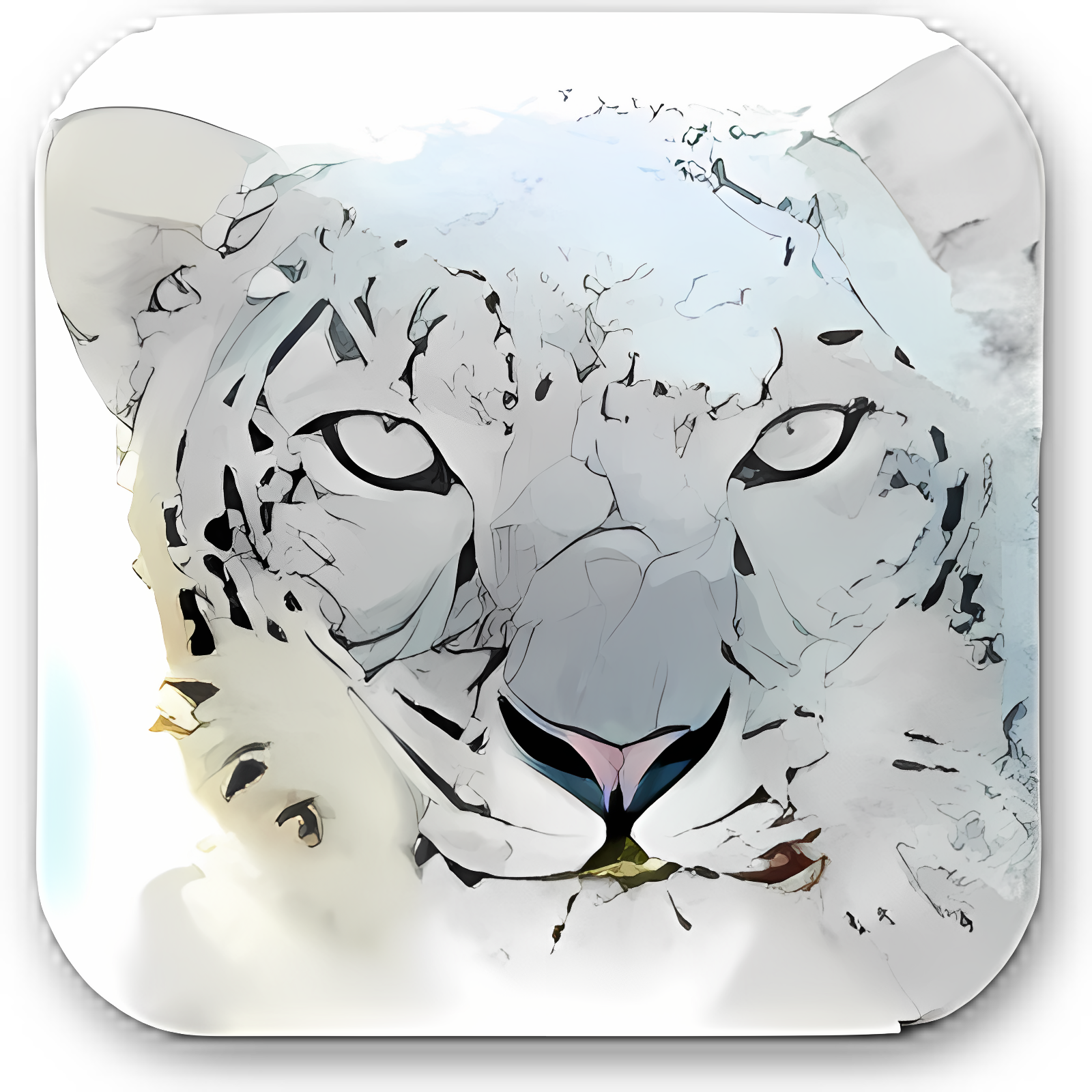 Mac OS X Snow Leopard Wallpapers