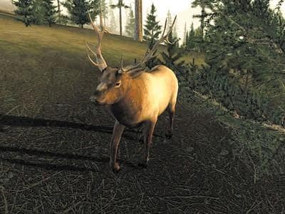 Free Deer Hunting Games